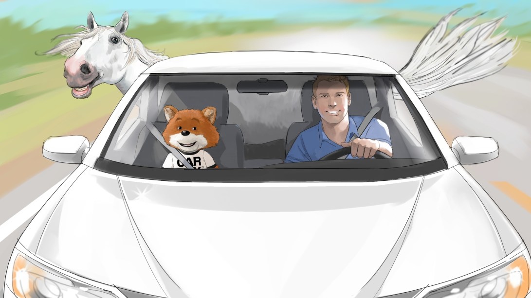 Carfax Storyboard