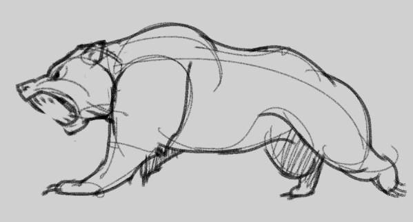 Bear, Sketch