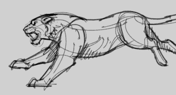 Tiger sketch, Sketch, tiger running